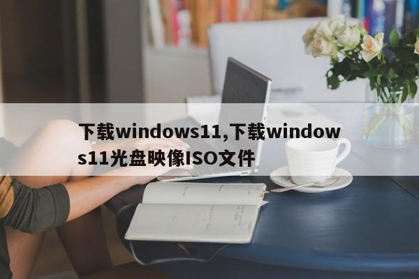 下载windows11,下载windows11光盘映像ISO文件